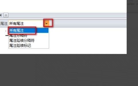 WPS2019怎么删除尾注横线_WPS2019删除尾注横线的方法
