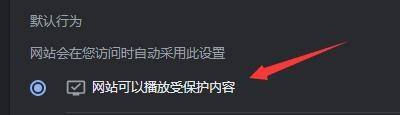 Google浏览器怎么设置允许播放受保护内容_Google浏览器允许播放受保护内容的方法