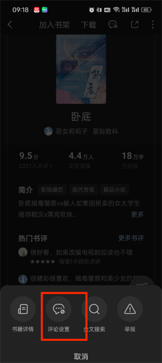 番茄小说段评在哪里看