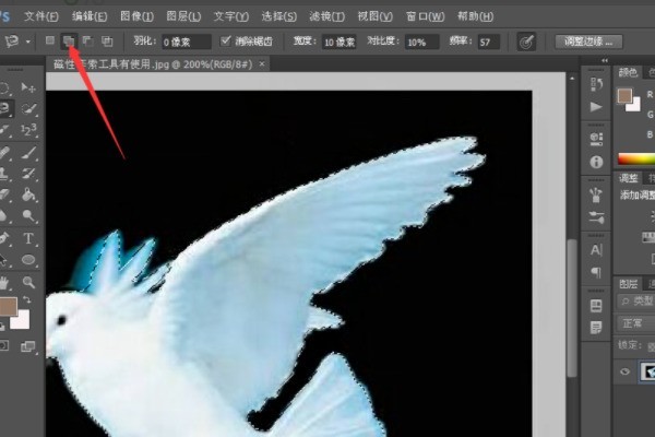 ps套索工具怎么用_ps套索工具的使用方法