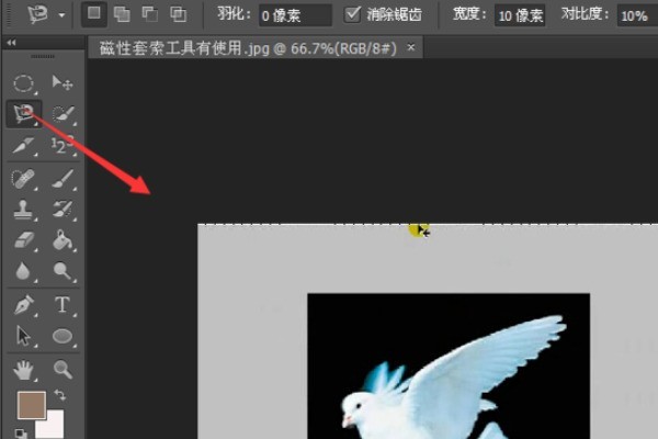ps套索工具怎么用_ps套索工具的使用方法