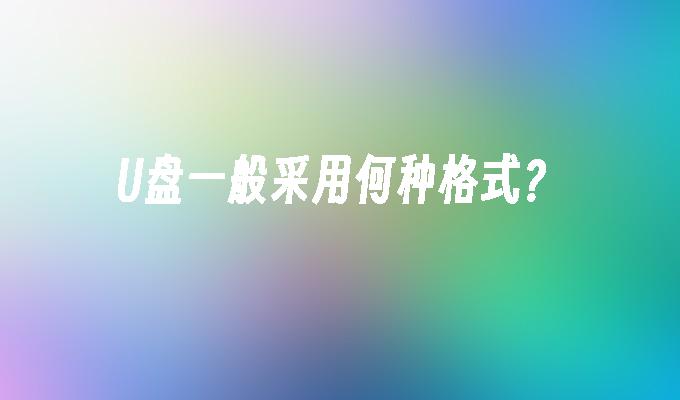 U盘一般采用何种格式？