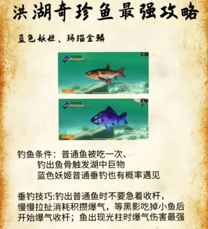 《欢乐钓鱼大师》洪湖最后两条鱼位置和垂钓技巧分享