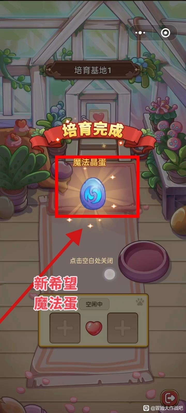 《冒险大作战》飞宠管理及云缠天梯试炼补充建议