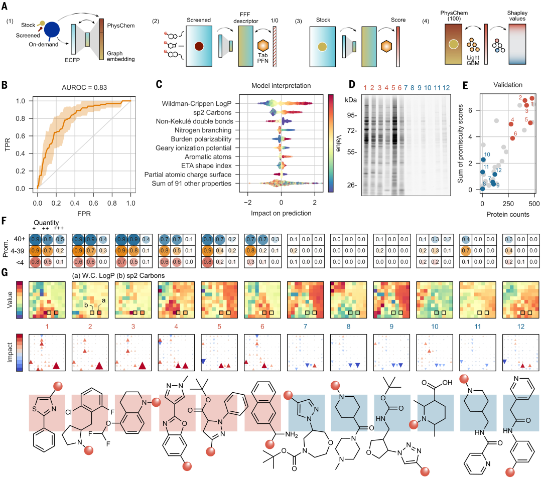 辉瑞 AI 方法登 Science,揭示数以万计的配体-蛋白质相互作用