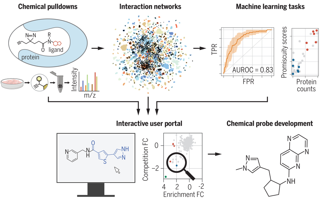 辉瑞 AI 方法登 Science,揭示数以万计的配体-蛋白质相互作用