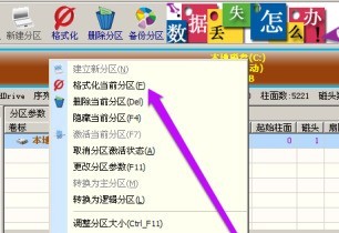 分区工具diskgenius怎么格式化硬盘 分区工具diskgenius格式化硬盘的方法