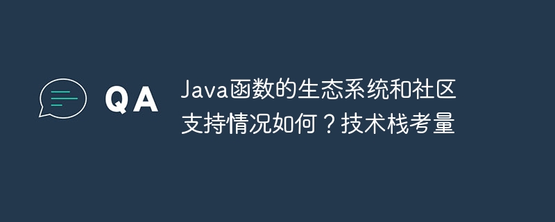 Java函数的生态系统和社区支持情况如何?技术栈考量