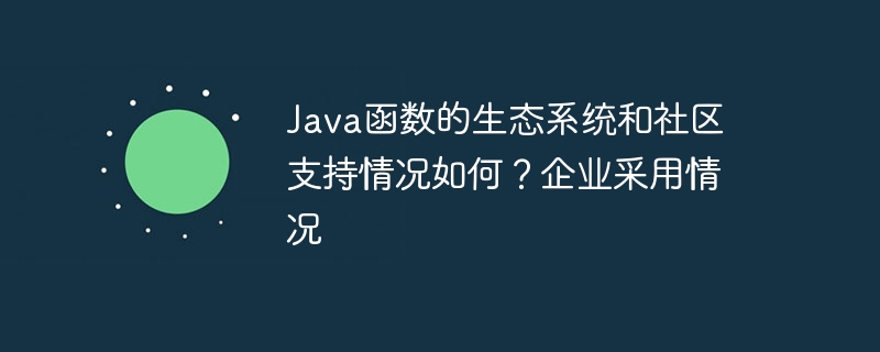 Java函数的生态系统和社区支持情况如何?企业采用情况