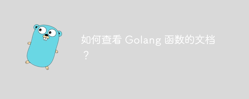 如何查看 Golang 函数的文档?