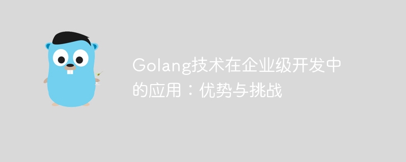 Golang技术在企业级开发中的应用:优势与挑战