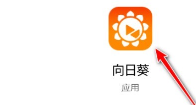 向日葵客户端怎么开启双重验证访问_向日葵客户端设置双重验证访问方法