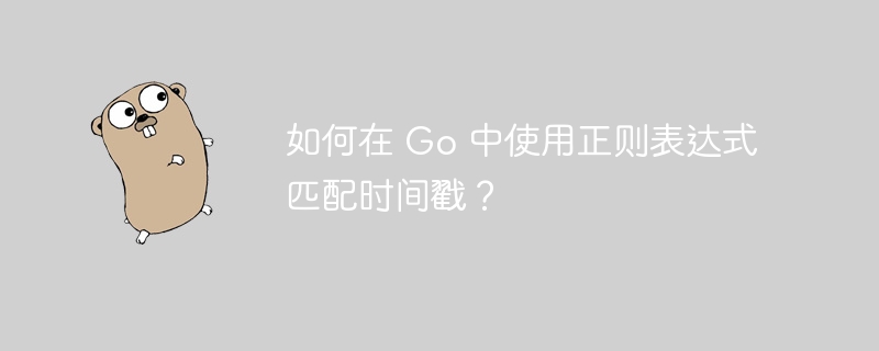 如何在 Go 中使用正则表达式匹配时间戳?