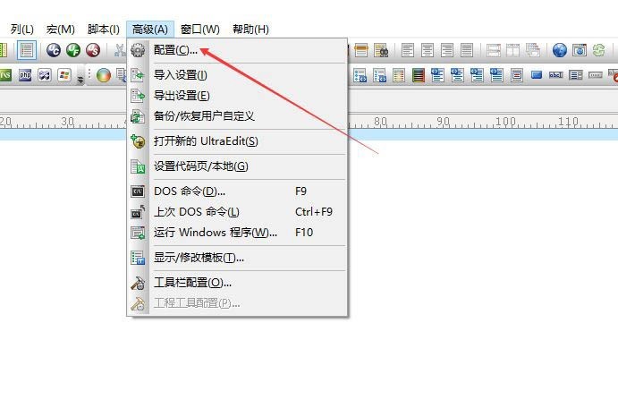 UltraEdit怎么关闭自启动正则表达式 UltraEdit关闭自启动正则表达式方法
