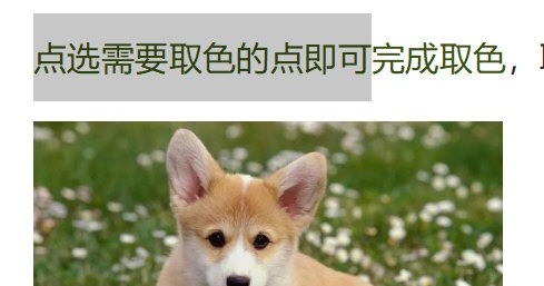WPS文字取色器在哪里_教你快速取色