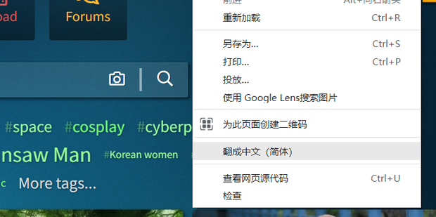 谷歌浏览器翻译功能启动失败怎么办?谷歌浏览器翻译功能启用方法