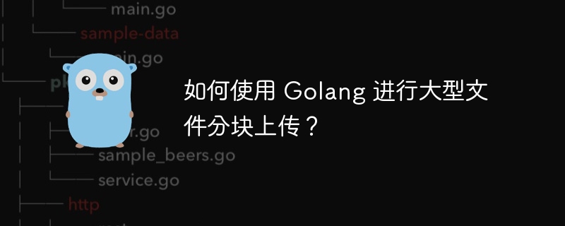如何使用 Golang 进行大型文件分块上传?