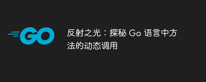 反射之光:探秘 Go 语言中方法的动态调用