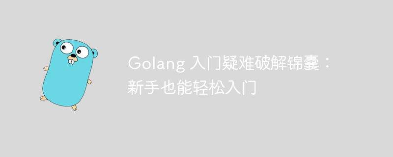 Golang 入门疑难破解锦囊:新手也能轻松入门