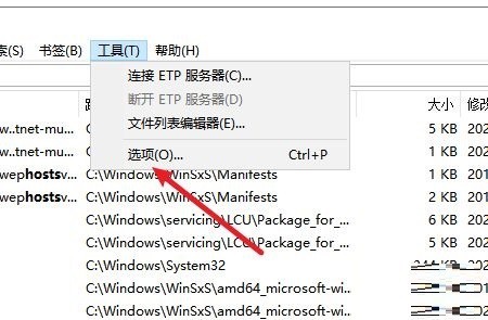Everything怎么设置以管理员身份运行_Everything设置以管理员身份运行的方法