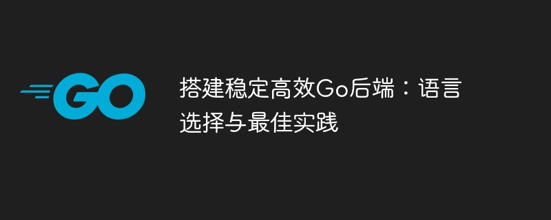 搭建稳定高效Go后端:语言选择与最佳实践