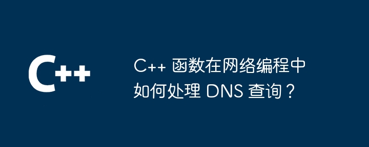 C++ 函数在网络编程中如何处理 DNS 查询?