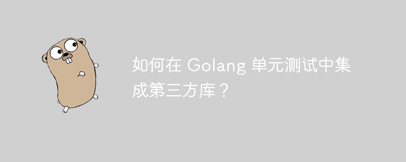 如何在 Golang 单元测试中集成第三方库?