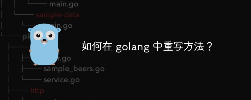 如何在 golang 中重写方法?
