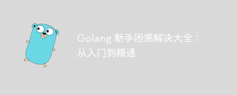 Golang 新手困惑解决大全:从入门到精通
