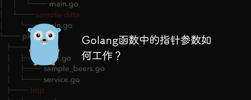 Golang函数中的指针参数如何工作?
