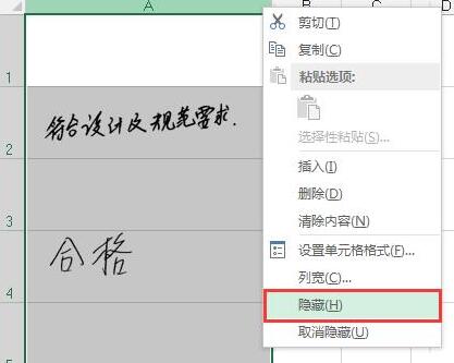 Excel设置图片和表格一起隐藏的操作流程