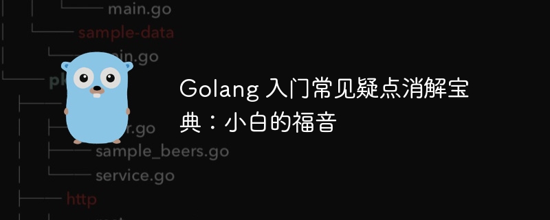 Golang 入门常见疑点消解宝典:小白的福音