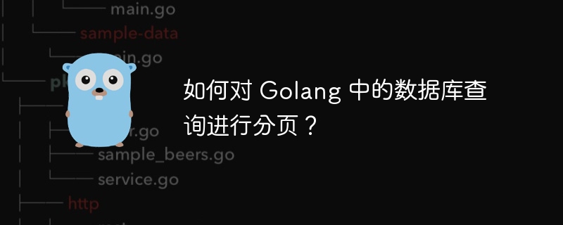 如何对 Golang 中的数据库查询进行分页?