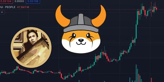Meme币PEOPLE也暴涨！FLOKI通过燃烧152亿枚代币投票、跳涨45%