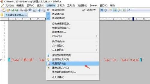 editplus怎么设置只读状态 editplus设置只读状态的方法