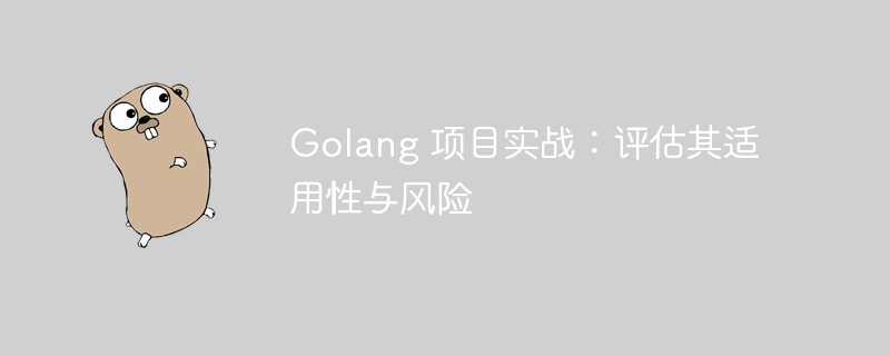 Golang 项目实战:评估其适用性与风险