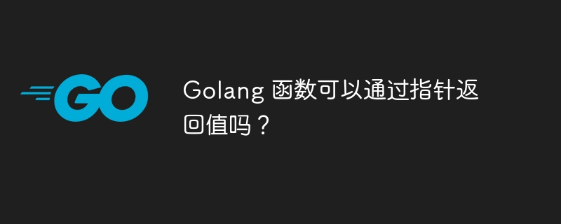 Golang 函数可以通过指针返回值吗?