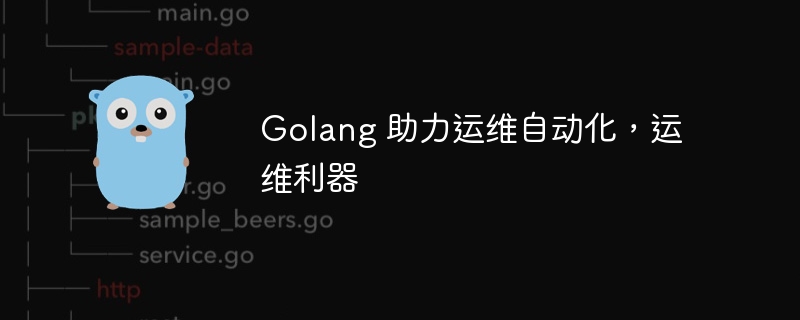 Golang 助力运维自动化,运维利器
