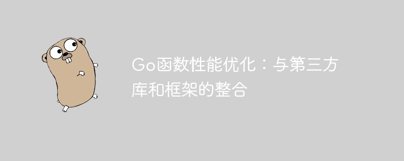 Go函数性能优化:与第三方库和框架的整合
