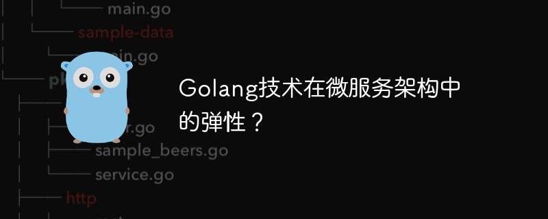 Golang技术在微服务架构中的弹性?
