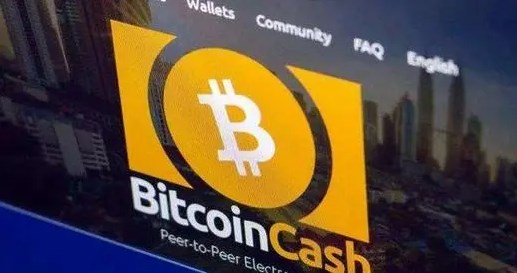 比特币现金是什么币种