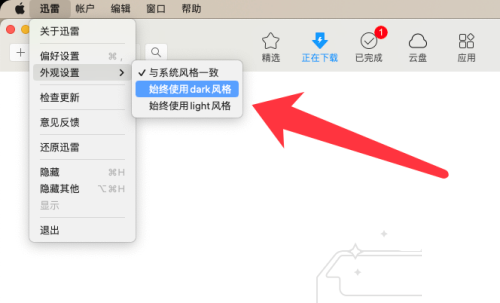 迅雷mac版怎么设置主题风格-迅雷mac版设置主题风格的方法