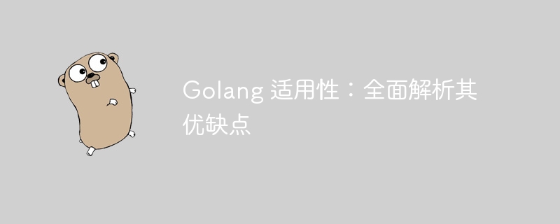 Golang 适用性:全面解析其优缺点