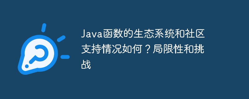 Java函数的生态系统和社区支持情况如何?局限性和挑战
