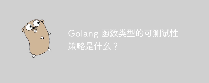 Golang 函数类型的可测试性策略是什么?