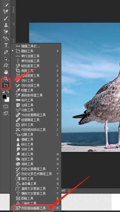 ps图形怎么转路径 ps图形转路径的方法介绍