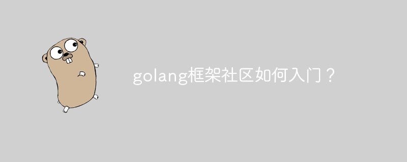 golang框架社区如何入门?