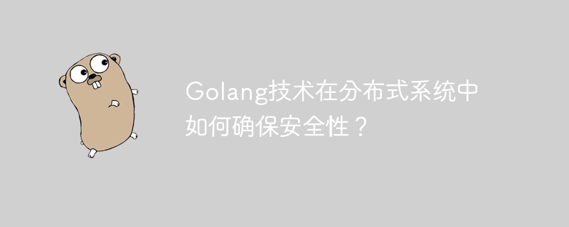 Golang技术在分布式系统中如何确保安全性?
