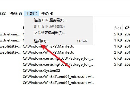Everything怎么设置复制路径快捷键 Everything设置复制路径快捷键的方法