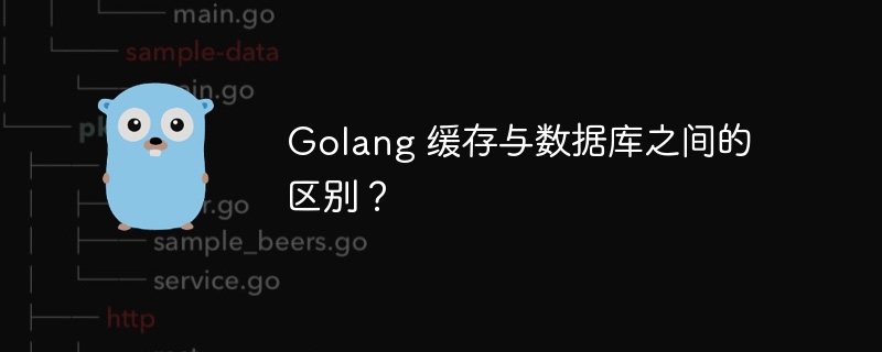 Golang 缓存与数据库之间的区别?